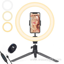 Hot 10 inch Dimmable Remote Control Selfie Photographic Ring Light With Tripod Stand For TikTok Makeup And Live Stream